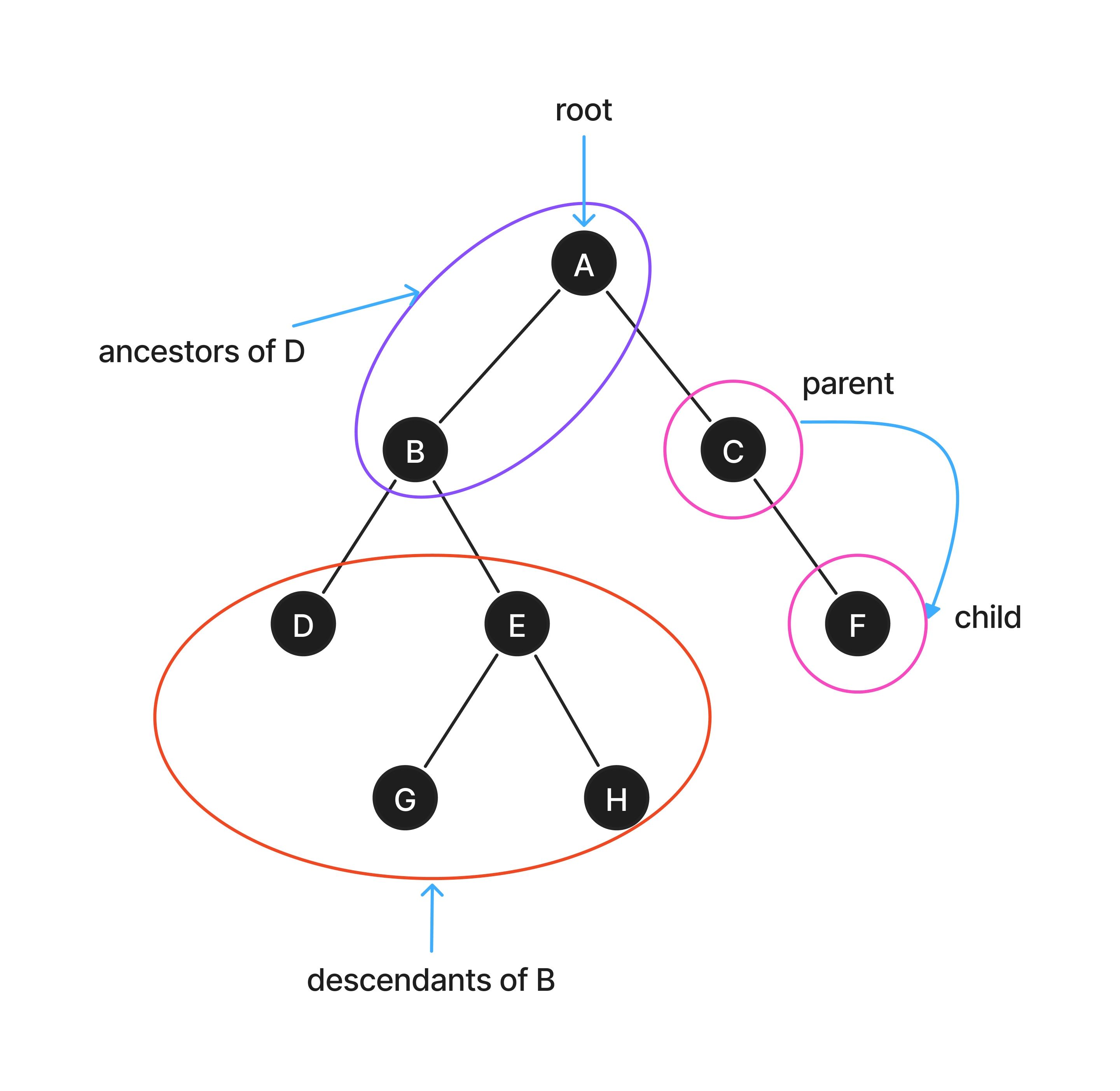 A simple tree diagram with relationships